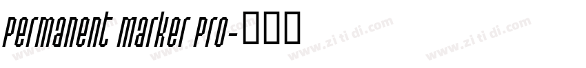 Permanent Marker Pro字体转换